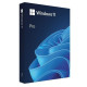 Операційна система Microsoft Windows 11 Pro FPP 64-bit Eng Intl non-EU/EFTA USB (HAV-00164)